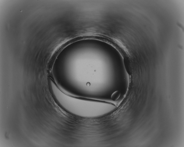 X0000091911356200709121509