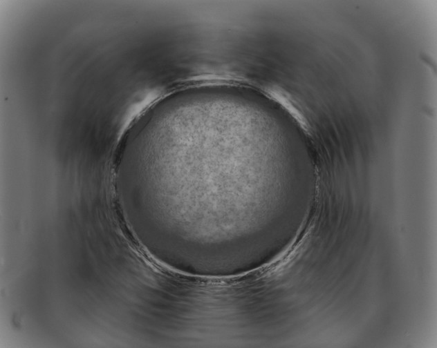 X0000091911357200709121509