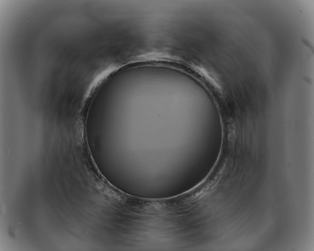 X0000091911358200709121509