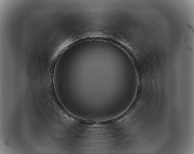 X0000091911359200709121509