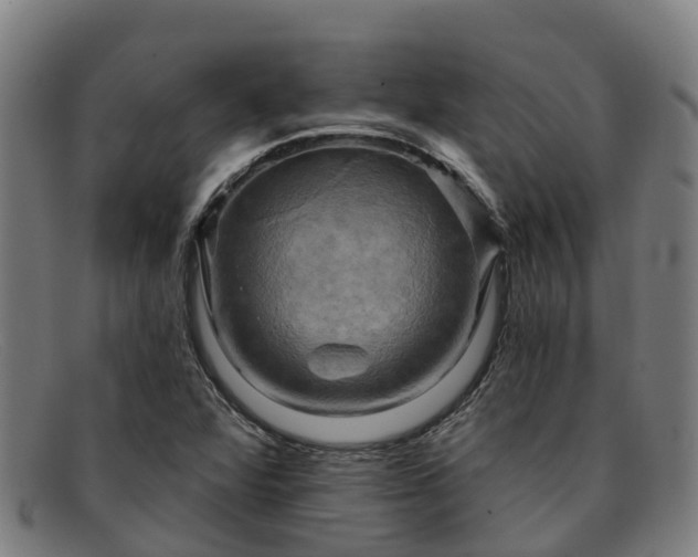 X0000091911360200709121509