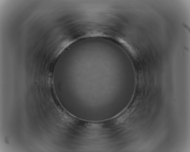 X0000091911361200709121509