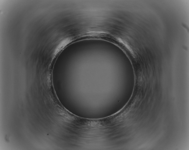 X0000091911362200709121509