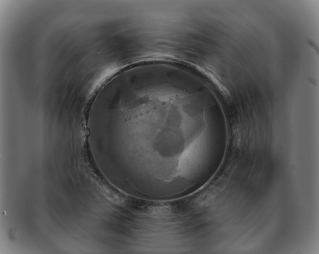 X0000091911363200709121509