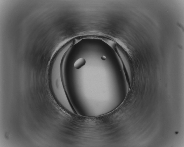 X0000091911364200709121509