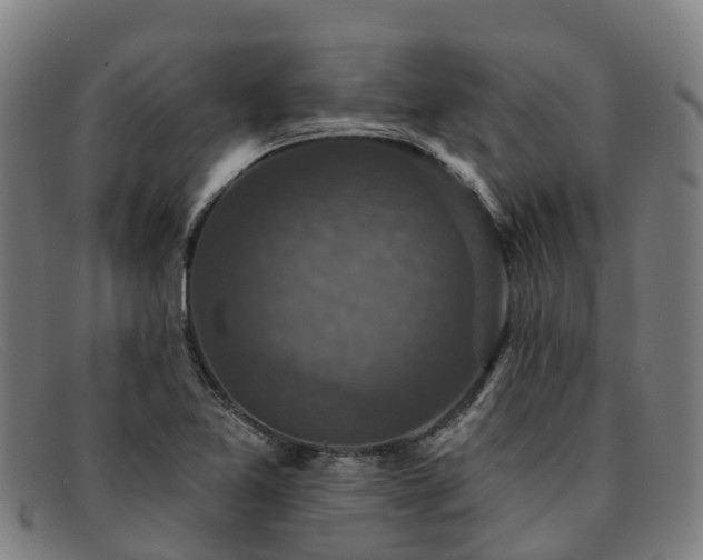 X0000091911365200709121509