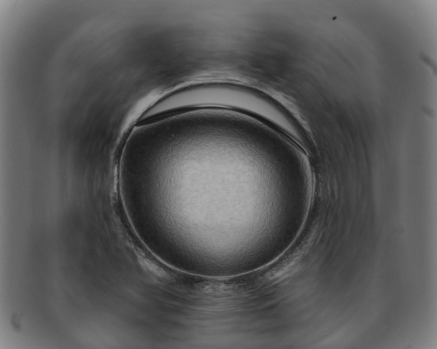 X0000091911366200709121509