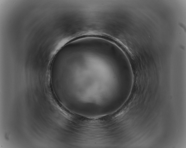 X0000091911367200709121509