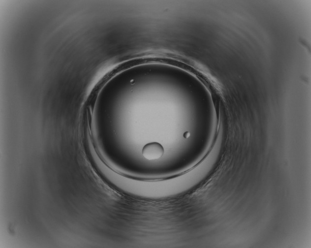 X0000091911368200709121509