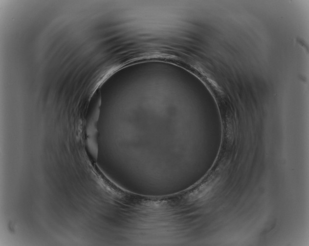 X0000091911369200709121509