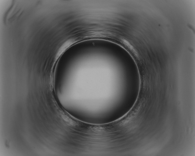 X0000091911370200709121509