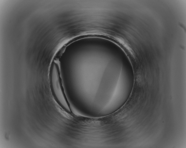 X0000091911372200709121509