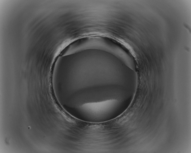 X0000091911373200709121509