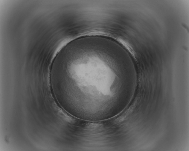 X0000091911374200709121509