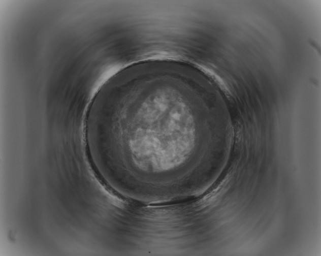 X0000091911375200709121509