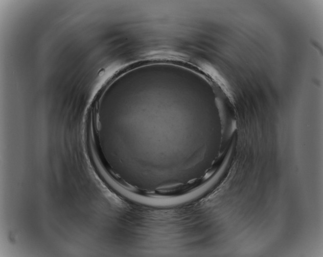 X0000091911376200709121509