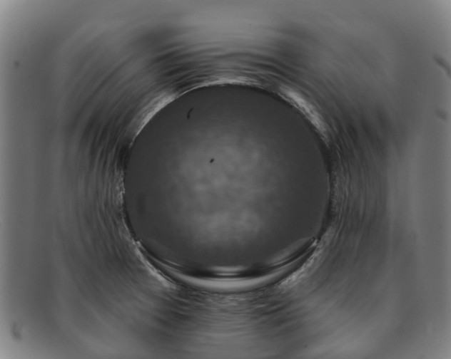 X0000091911377200709121509