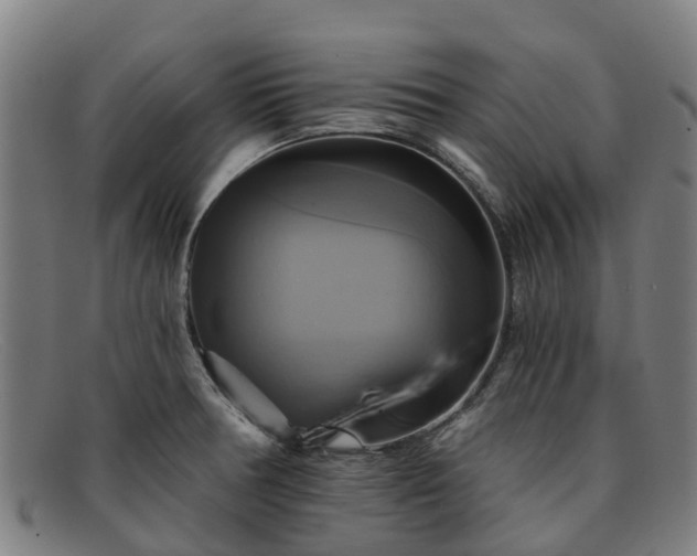 X0000091911378200709121509