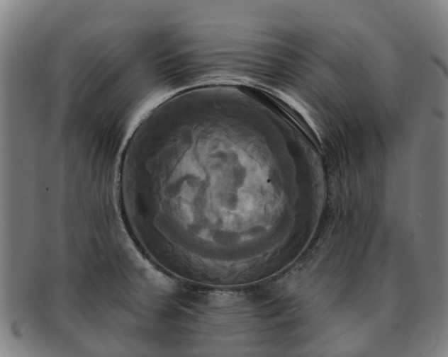 X0000091911379200709121509