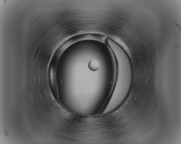 X0000091911380200709121509