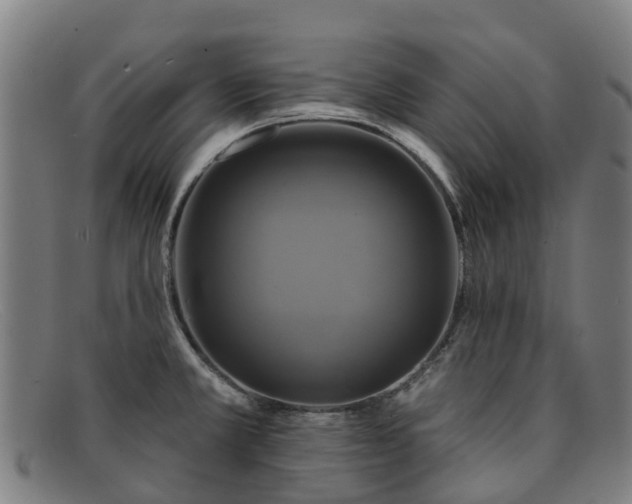 X0000091911381200709121509