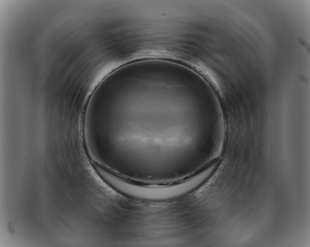 X0000091911382200709121509