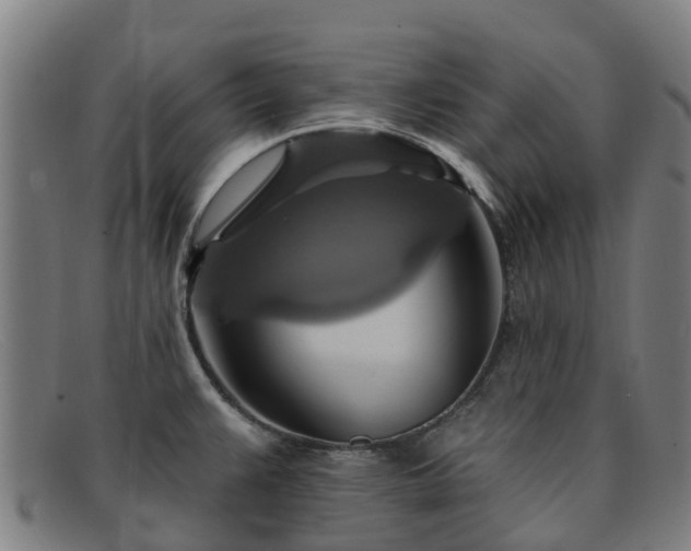 X0000091911383200709121509