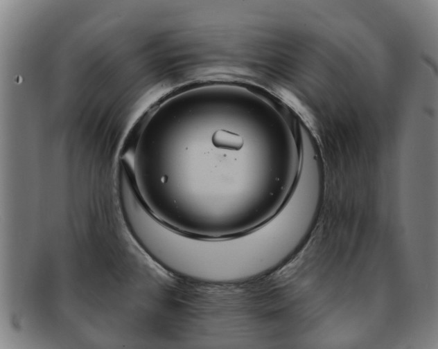 X0000091911384200709121509