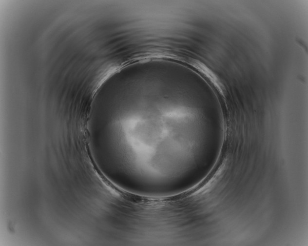 X0000091911385200709121509