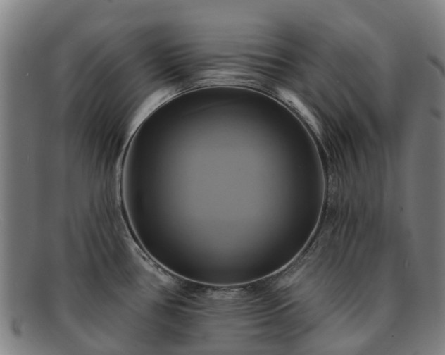 X0000091911386200709121509