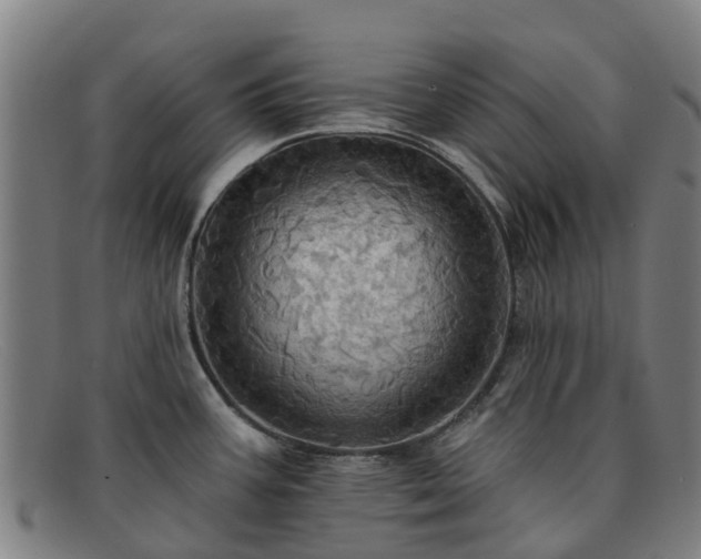 X0000091911387200709121509