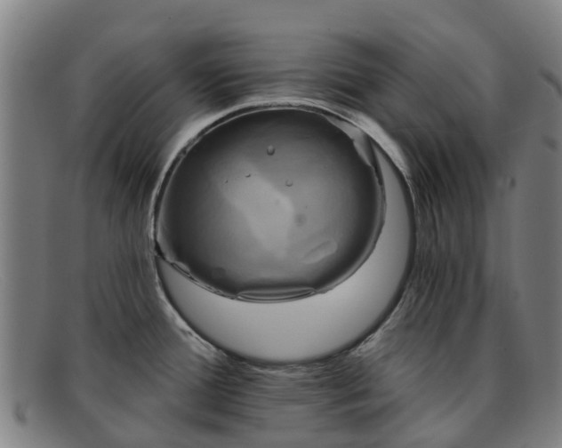 X0000091911388200709121509