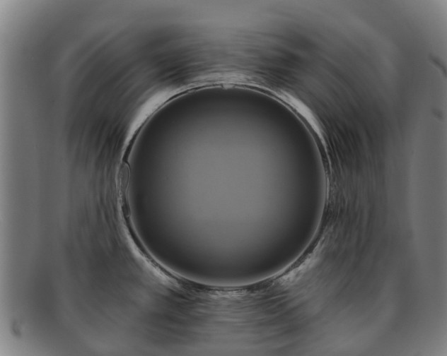 X0000091911389200709121509