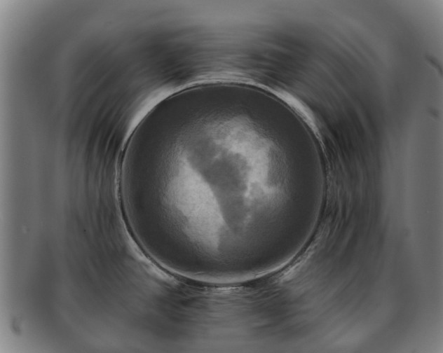 X0000091911390200709121509