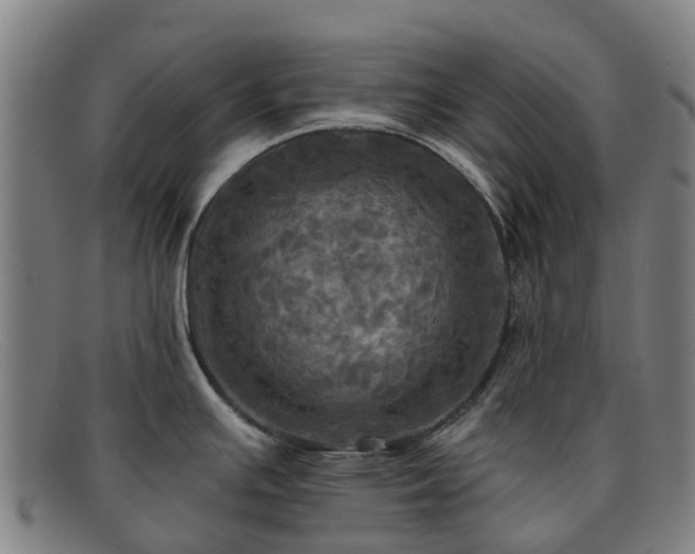 X0000091911391200709121509