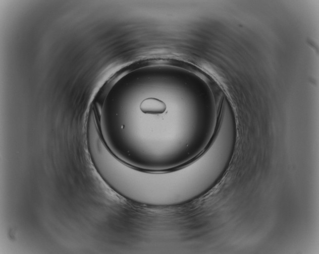 X0000091911392200709121509