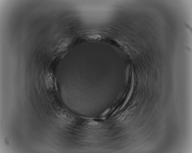 X0000091911394200709121508