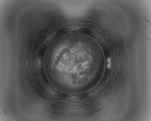 X0000091911395200709121508