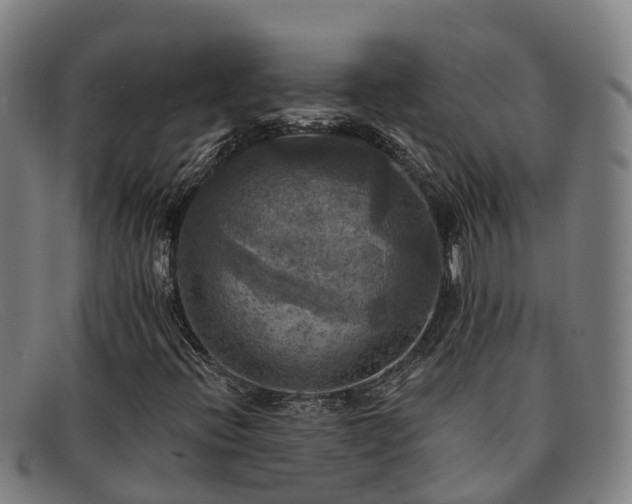 X0000091911396200709121508