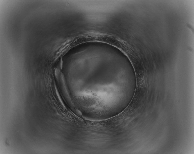 X0000091911397200709121509