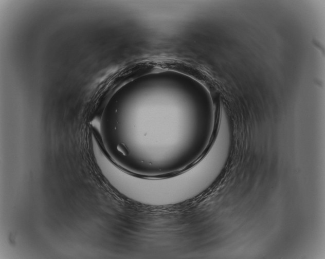 X0000091911398200709121509