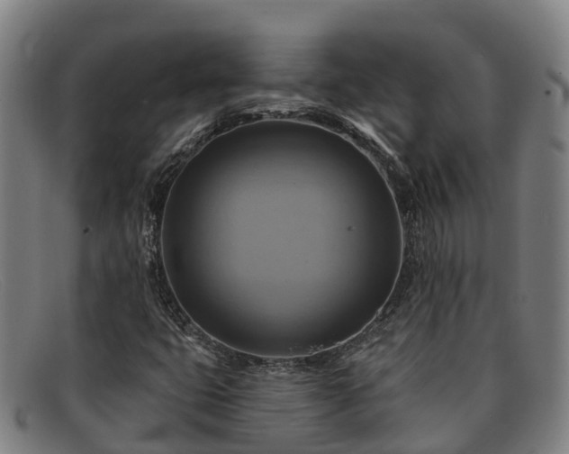 X0000091911399200709121509