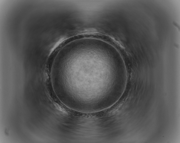 X0000091911400200709121509