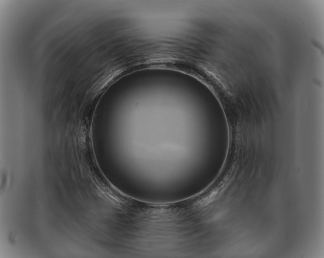 X0000091911401200709121509