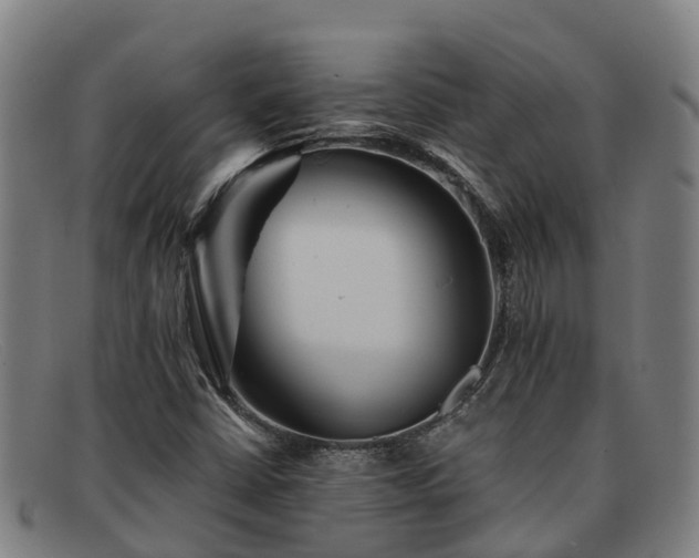 X0000091911402200709121509