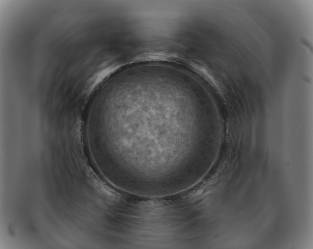 X0000091911404200709121509