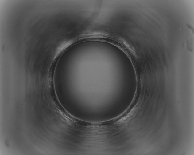 X0000091911405200709121509