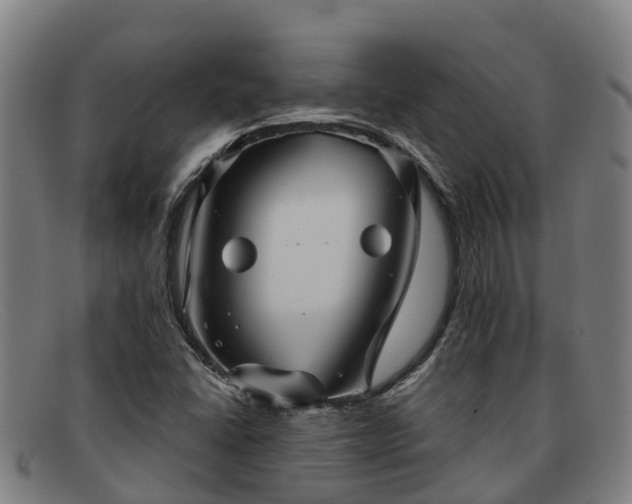 X0000091911406200709121509