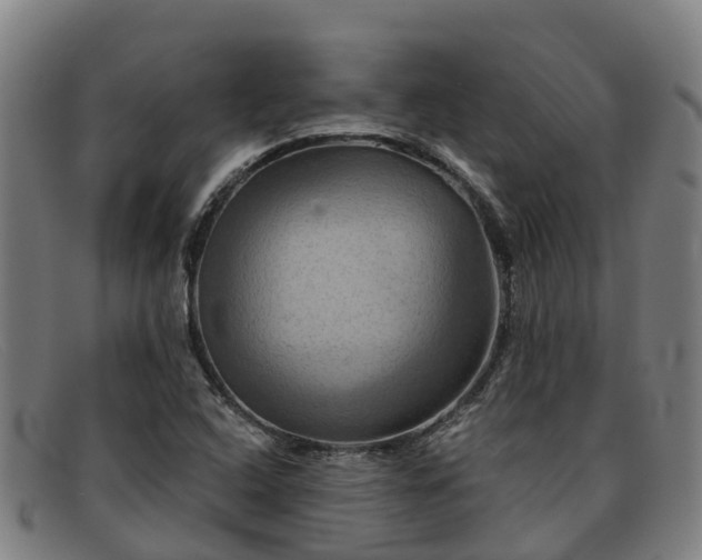 X0000091911408200709121509