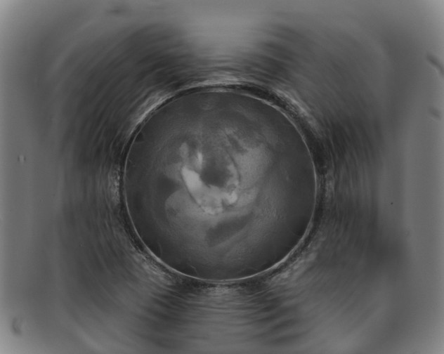 X0000091911409200709121509